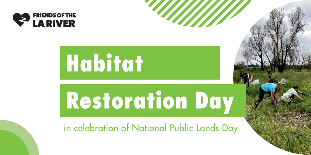 Habitat Restoration Day 2