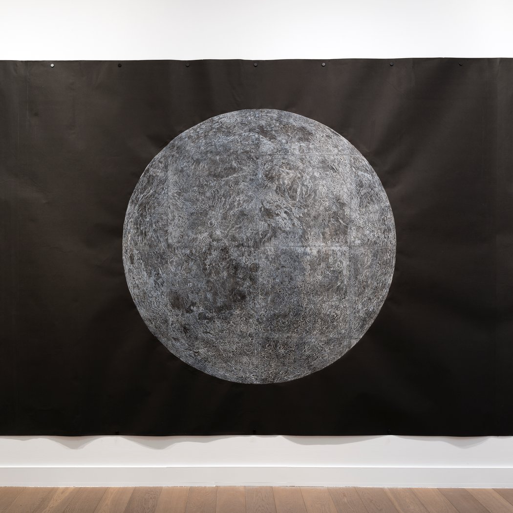 Kiki Smith Flight 2