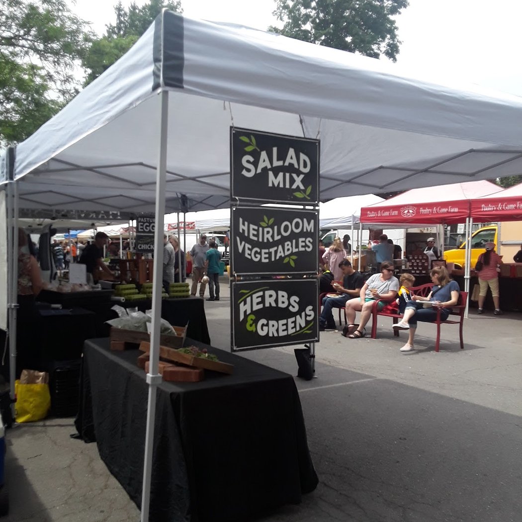 Rhinebeck Farmers Market 2