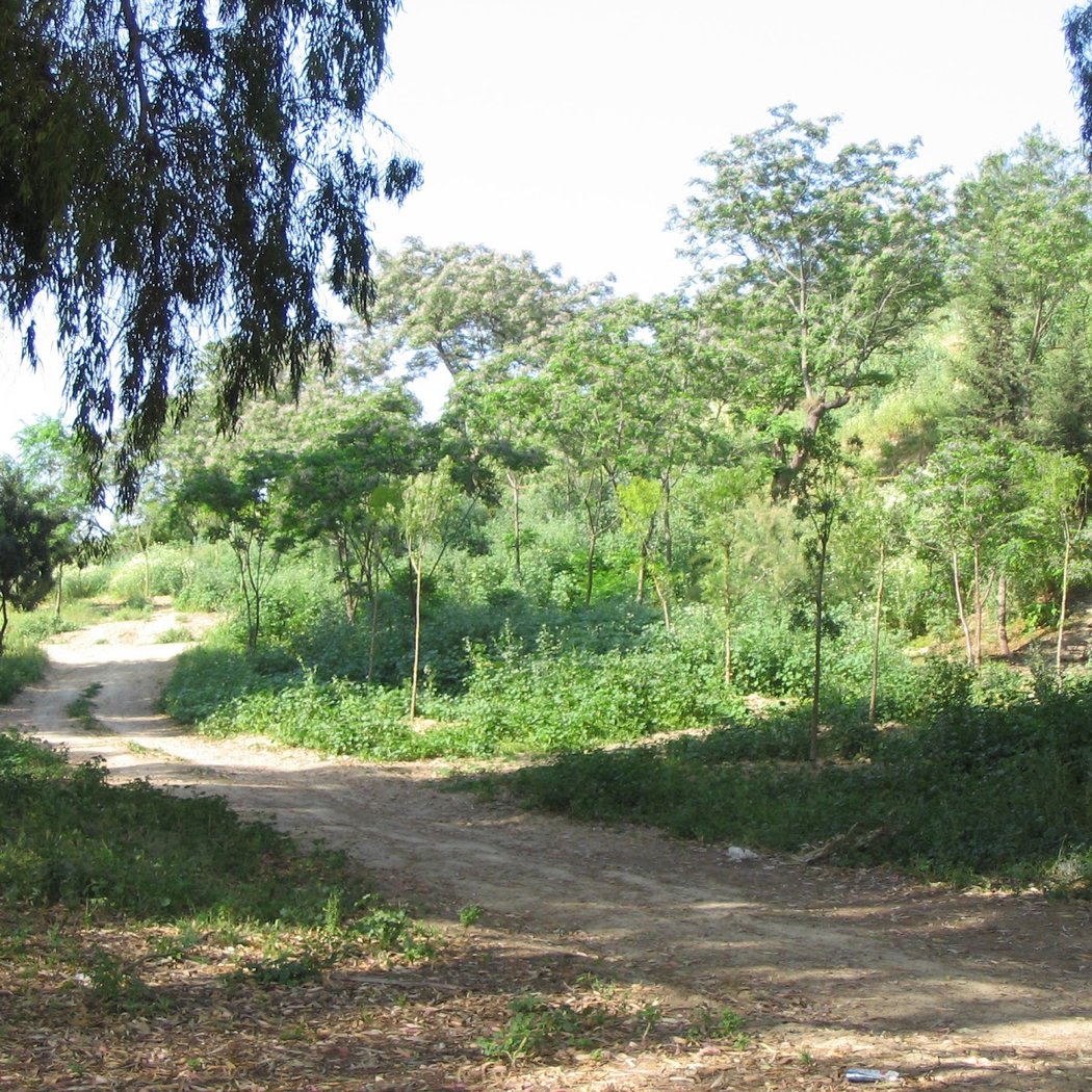 municipal de los Manantiales Gelves Park 2