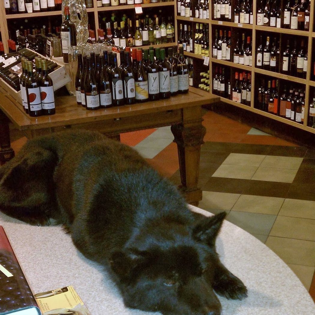 Waverly Wines & Spirits 2