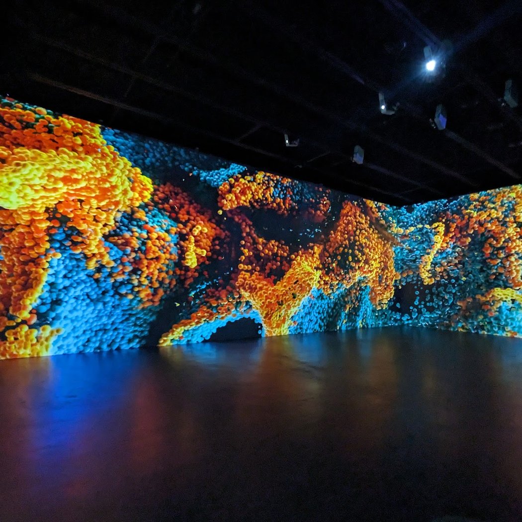 The MoDE - The Museum of Digital Experiences 1