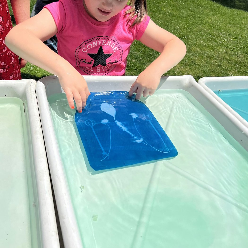 Cyanotype Workshop & Gardens Tour 3