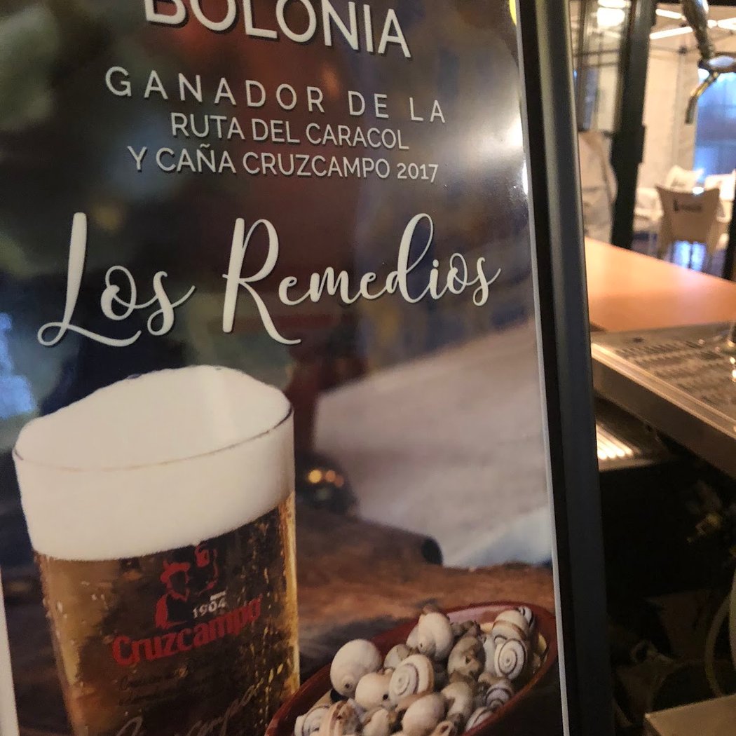 Bar Bolonia 1