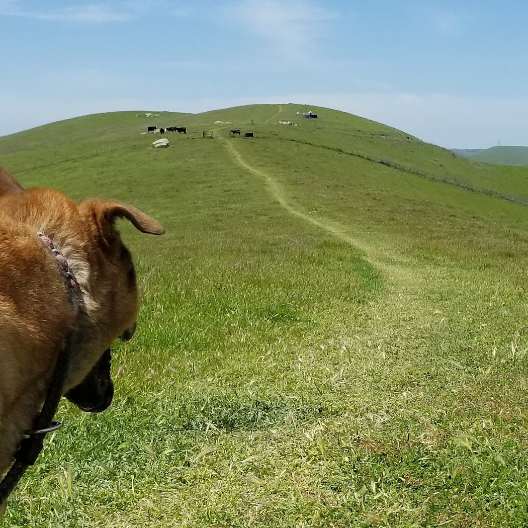 Tassajara Ridge Staging Area 2