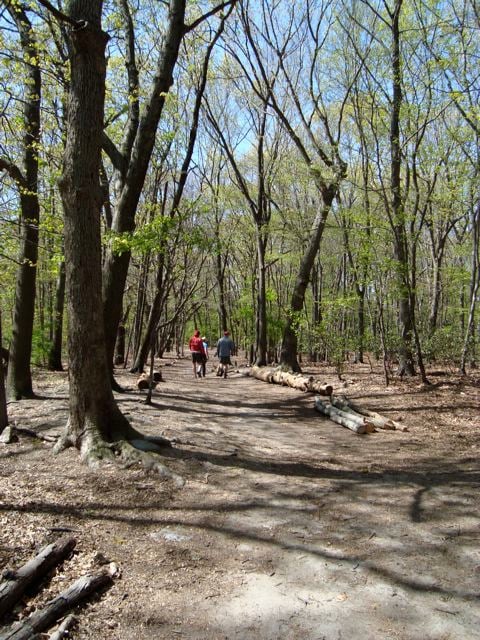 Blackstone Park Conservation District 3