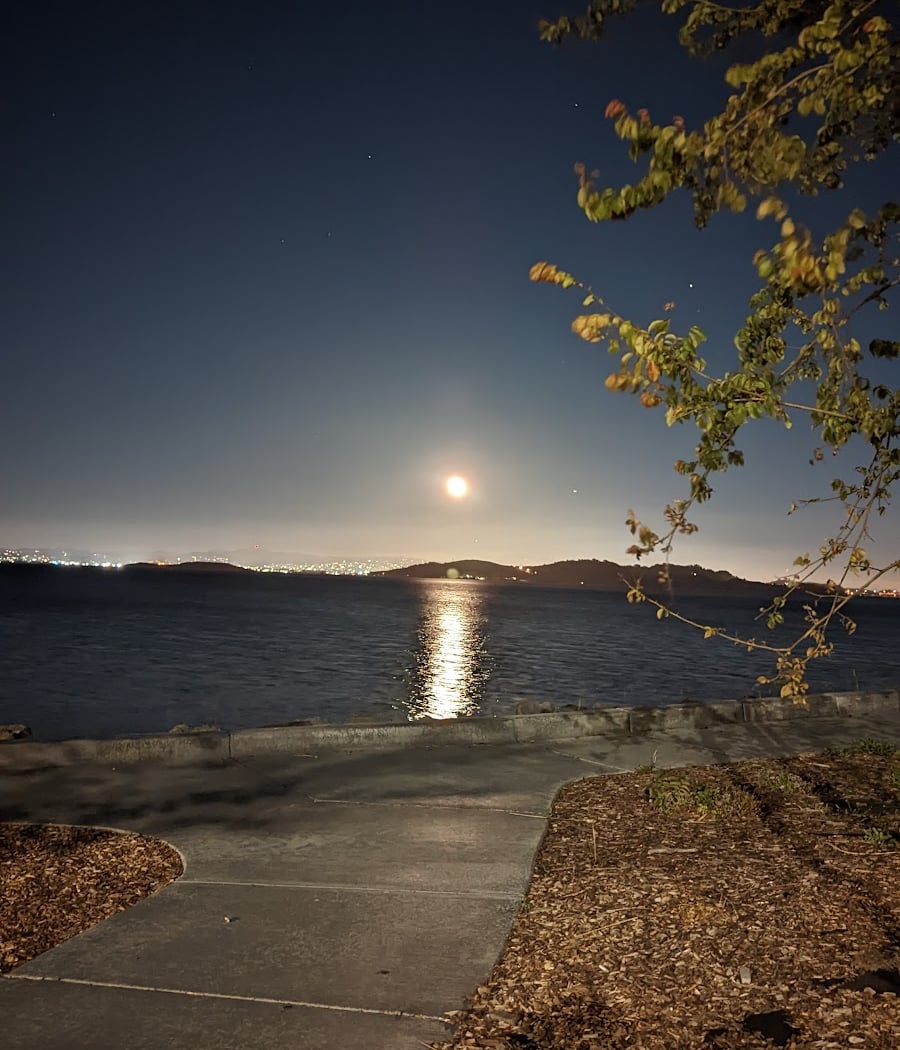 Bayside Park 1