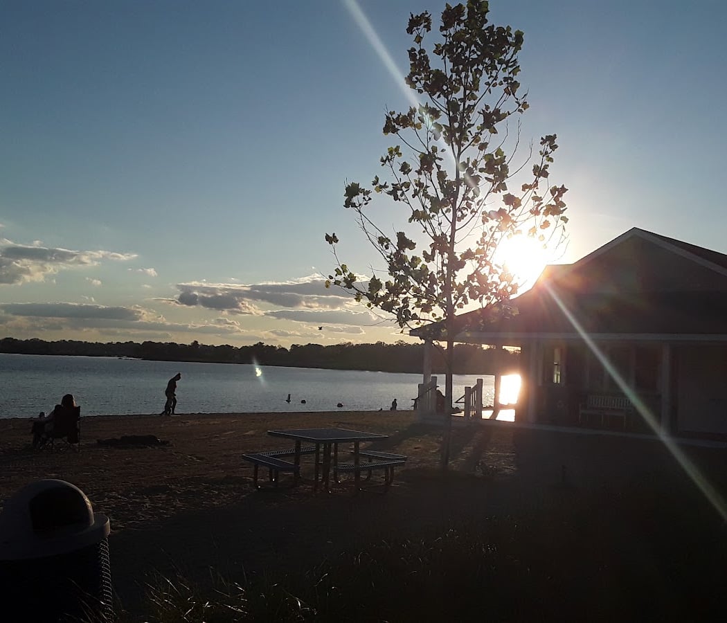 Weed Beach 3