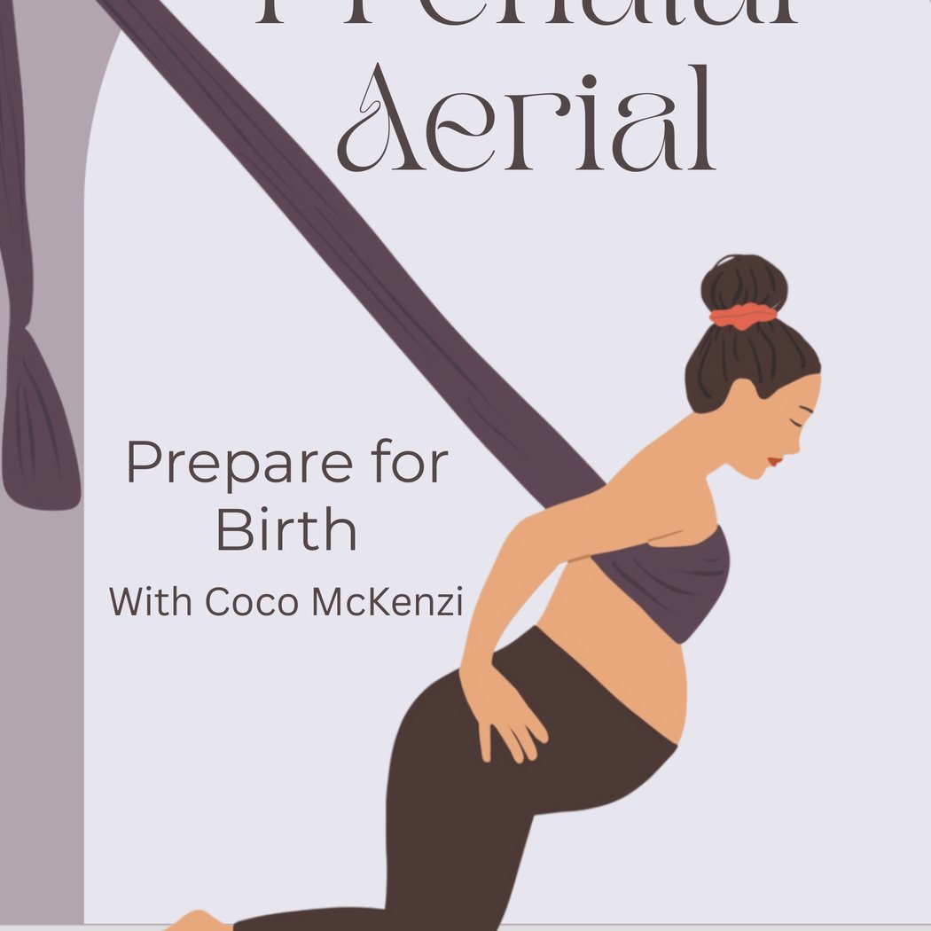 Prenatal Aerial Yoga with Coco McKenzi 1