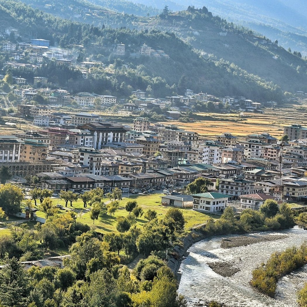 Paro 3