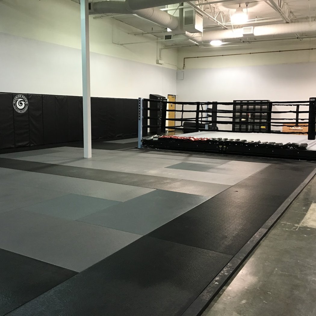 Bay Area Fight Academy 3
