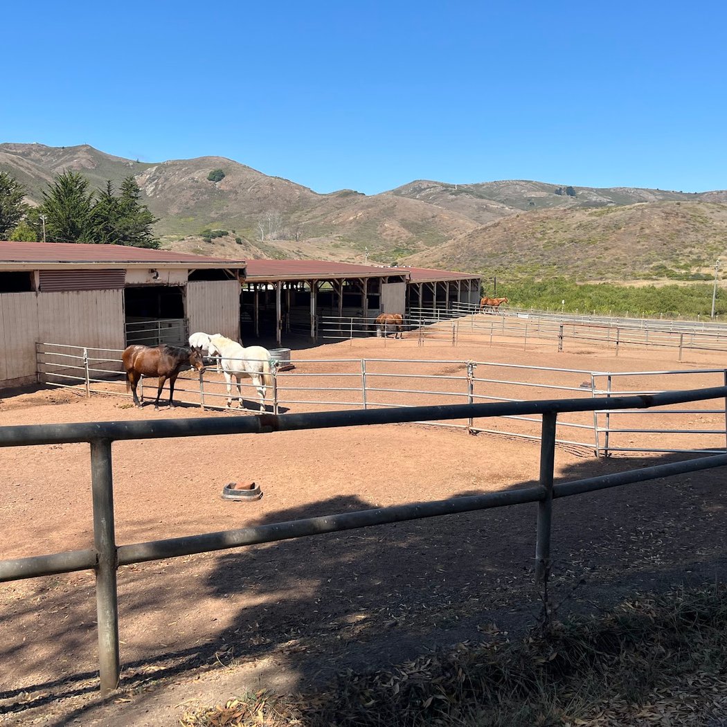 Spring Round-up: Family Day with Horses 2