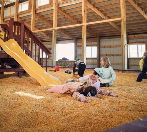 Fall Harvest Fest 2
