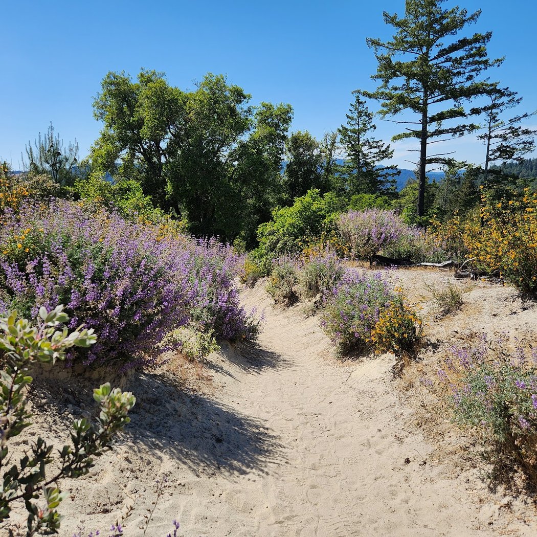 Sandhills Tour 2