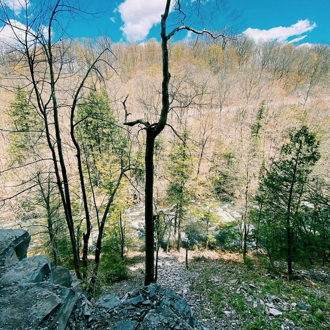 Chittenango Falls 3