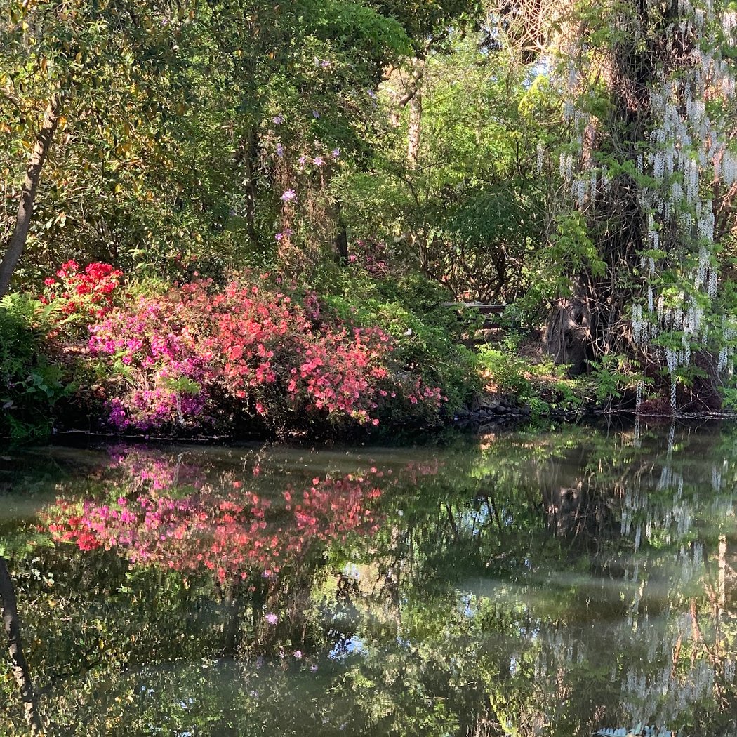 Sonoma Horticultural Nursery 3