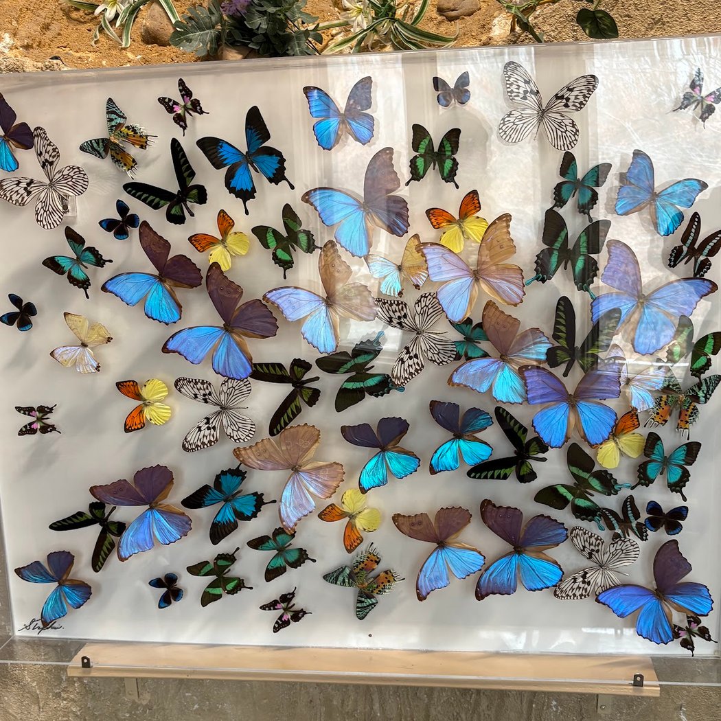 Clearwater Nature Center 2