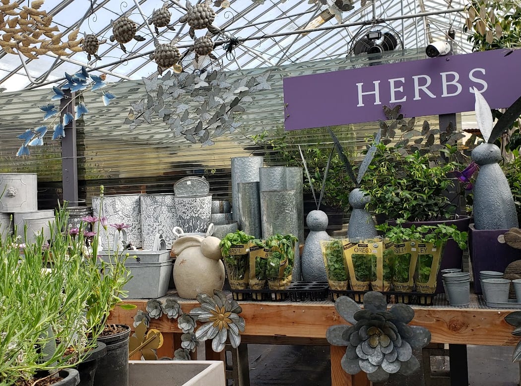 Half Moon Bay Lavender买花市场 2