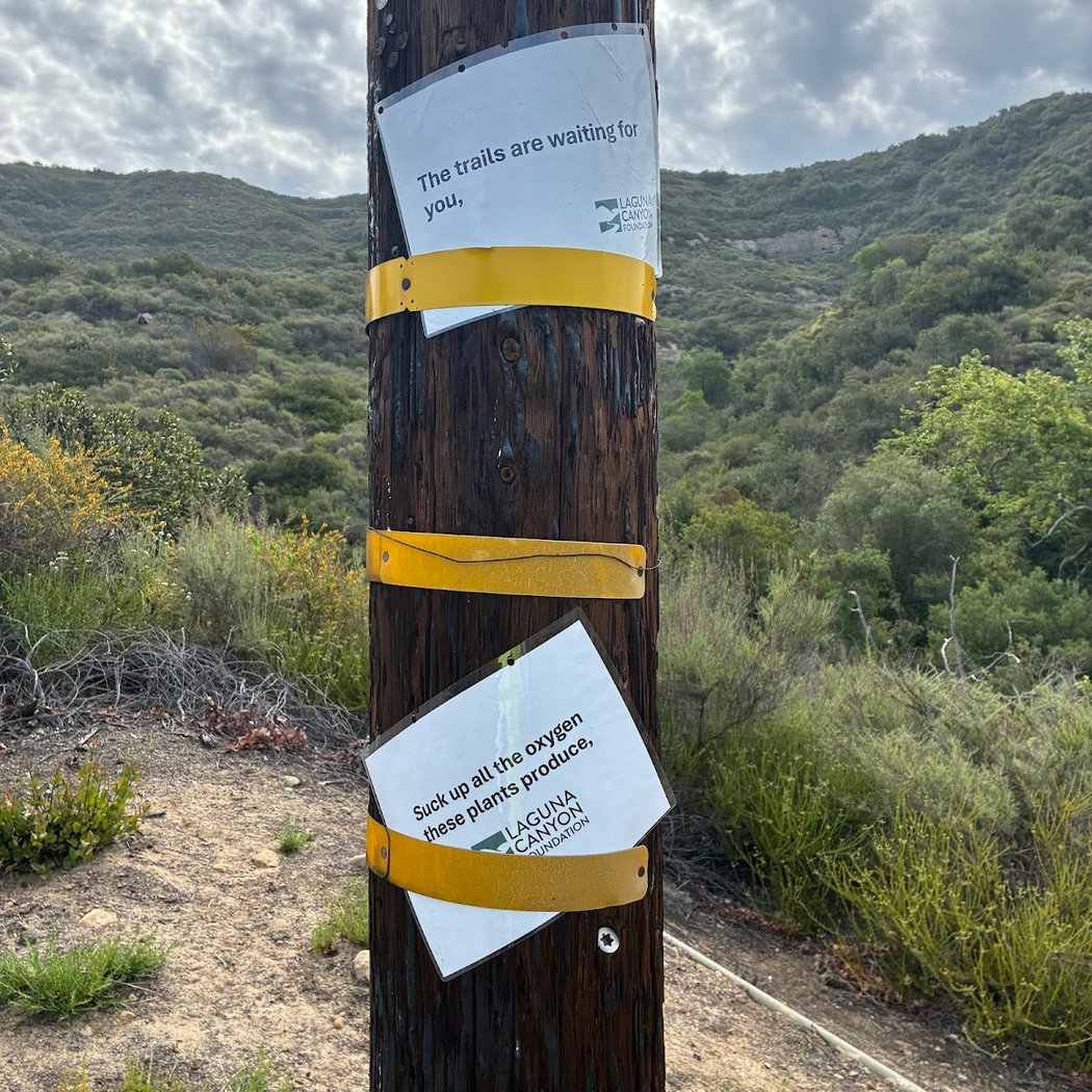 Trail Stewardship – Lizard 2