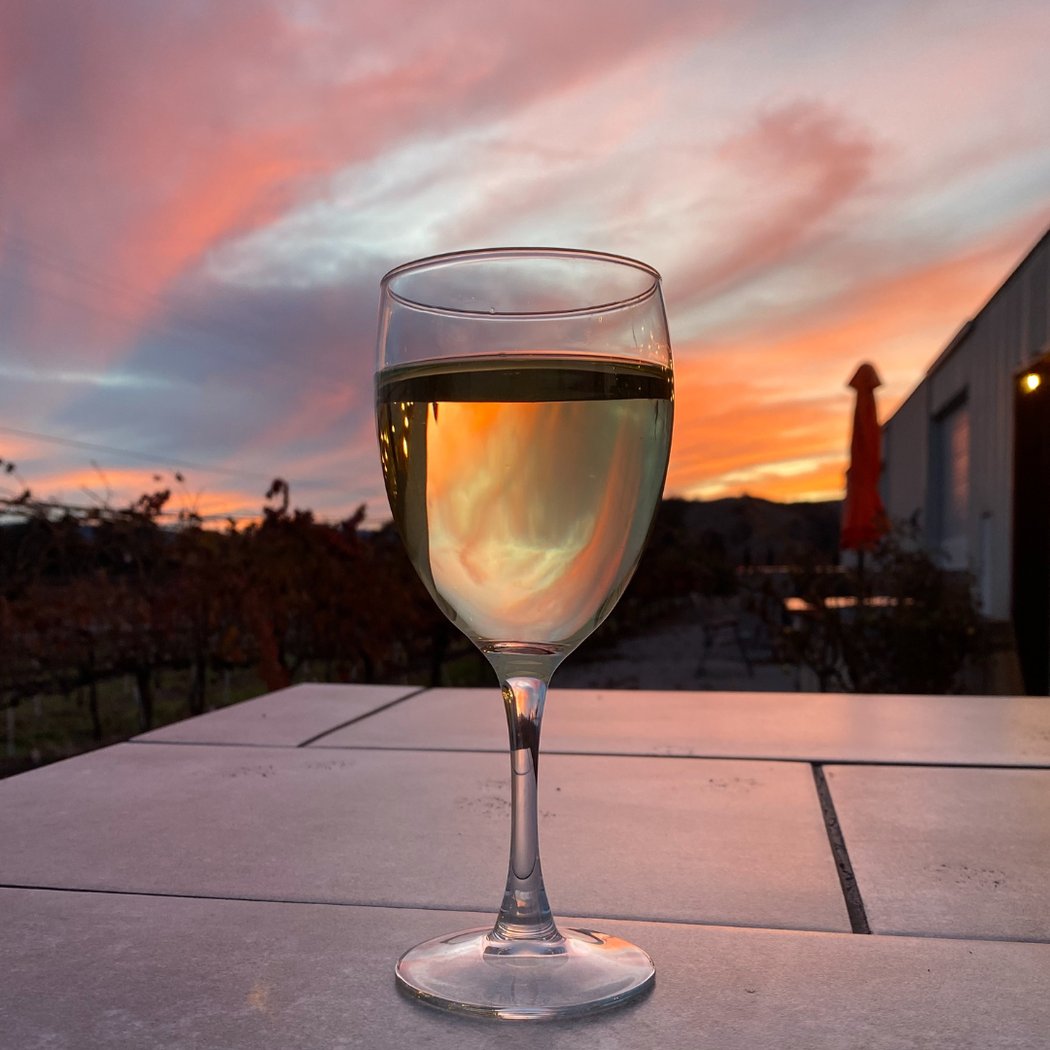 Little Uvas Vineyards 1