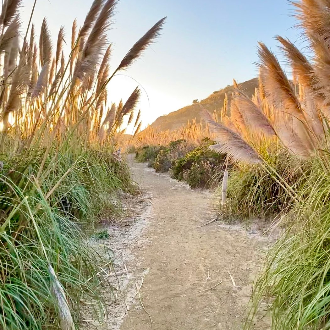 Pacifica Quarry Running Trail 1