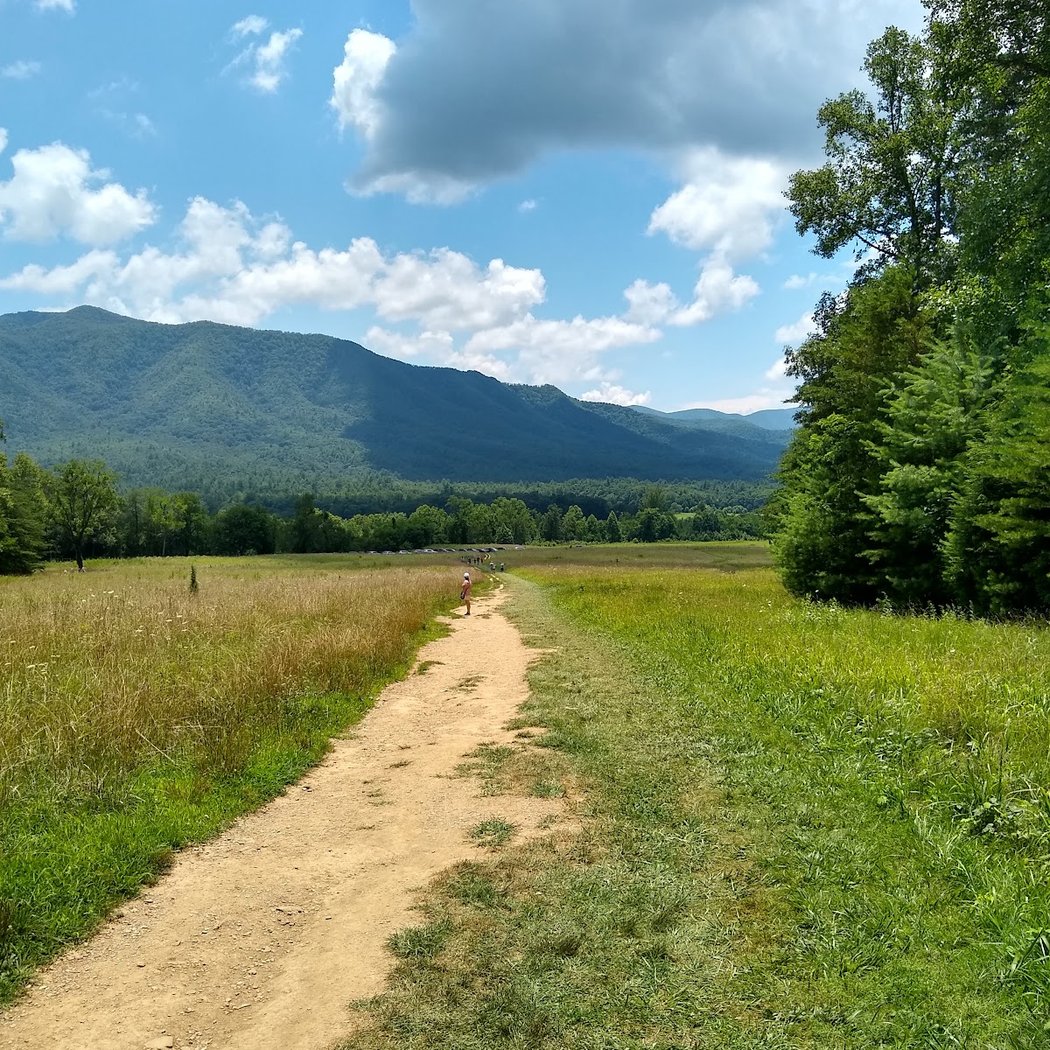 Cades Cove Loop Road 2