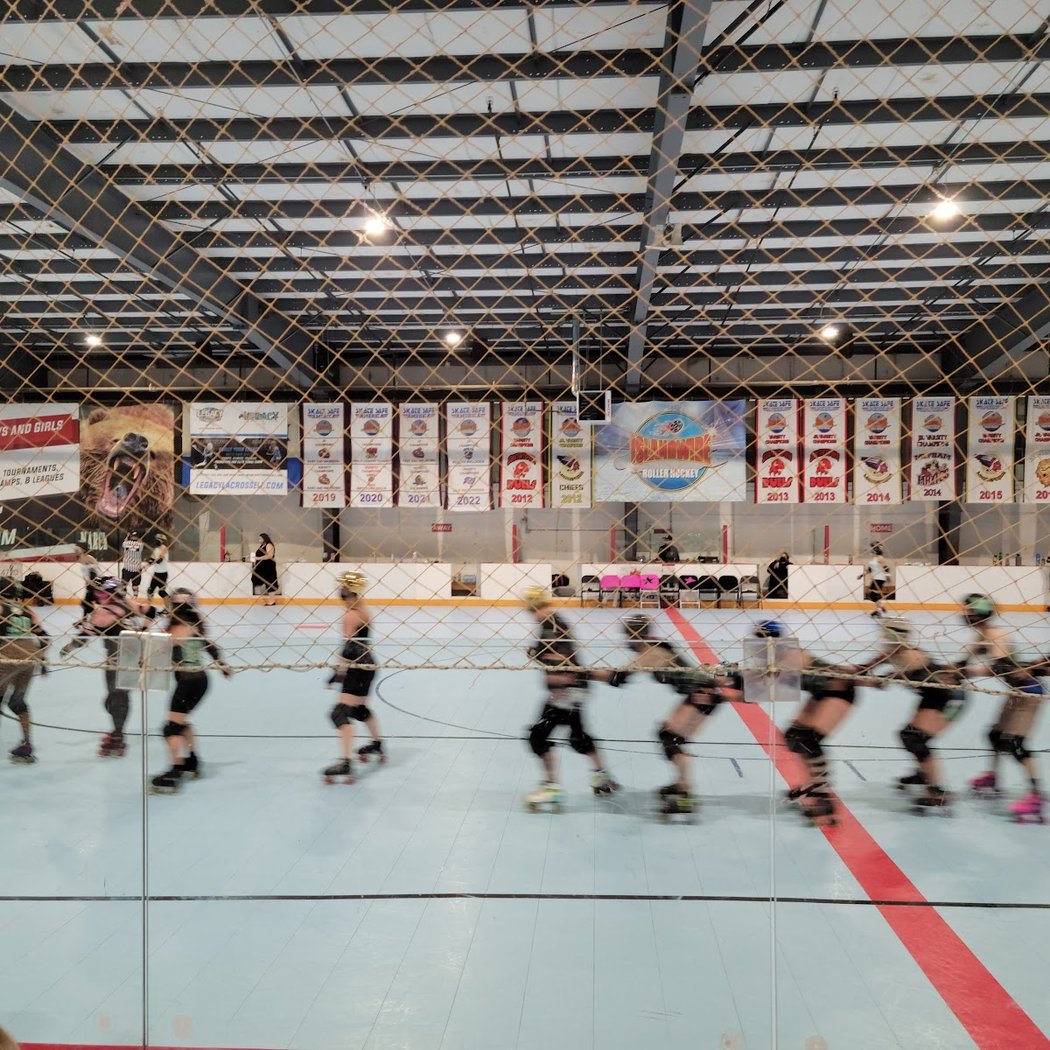 Roller Hockey Clinics and Camps 2