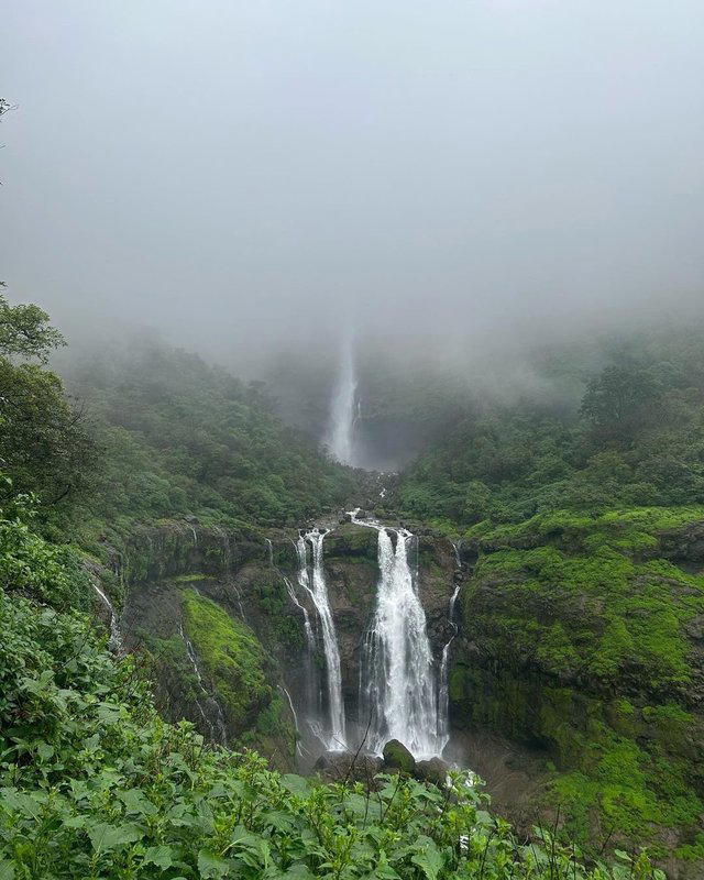 Aadrai Jungle Monsoon Trek (Malshej Ghat) 1