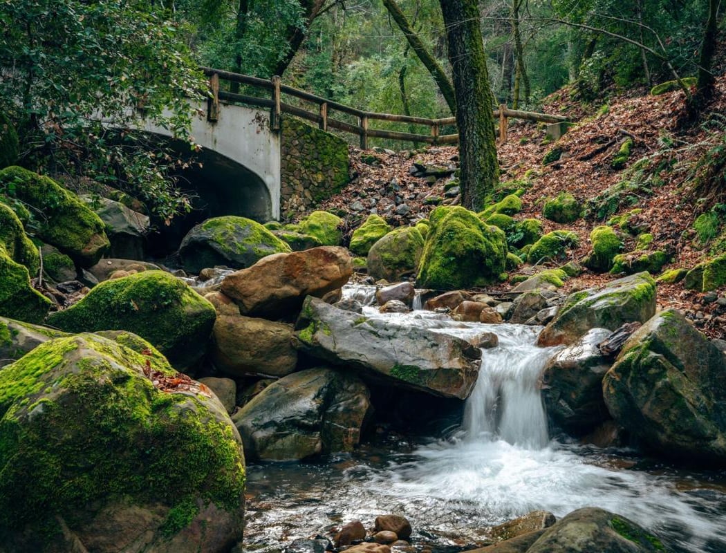 Uvas Canyon County Park 3