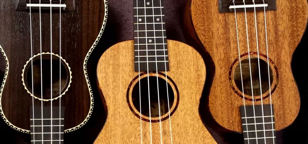 Workshop ukulele 1