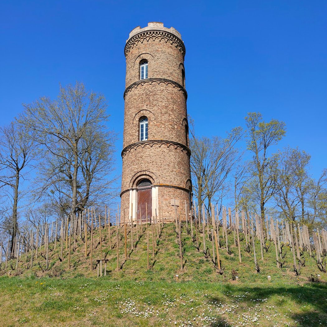Tour Des Minimes 1