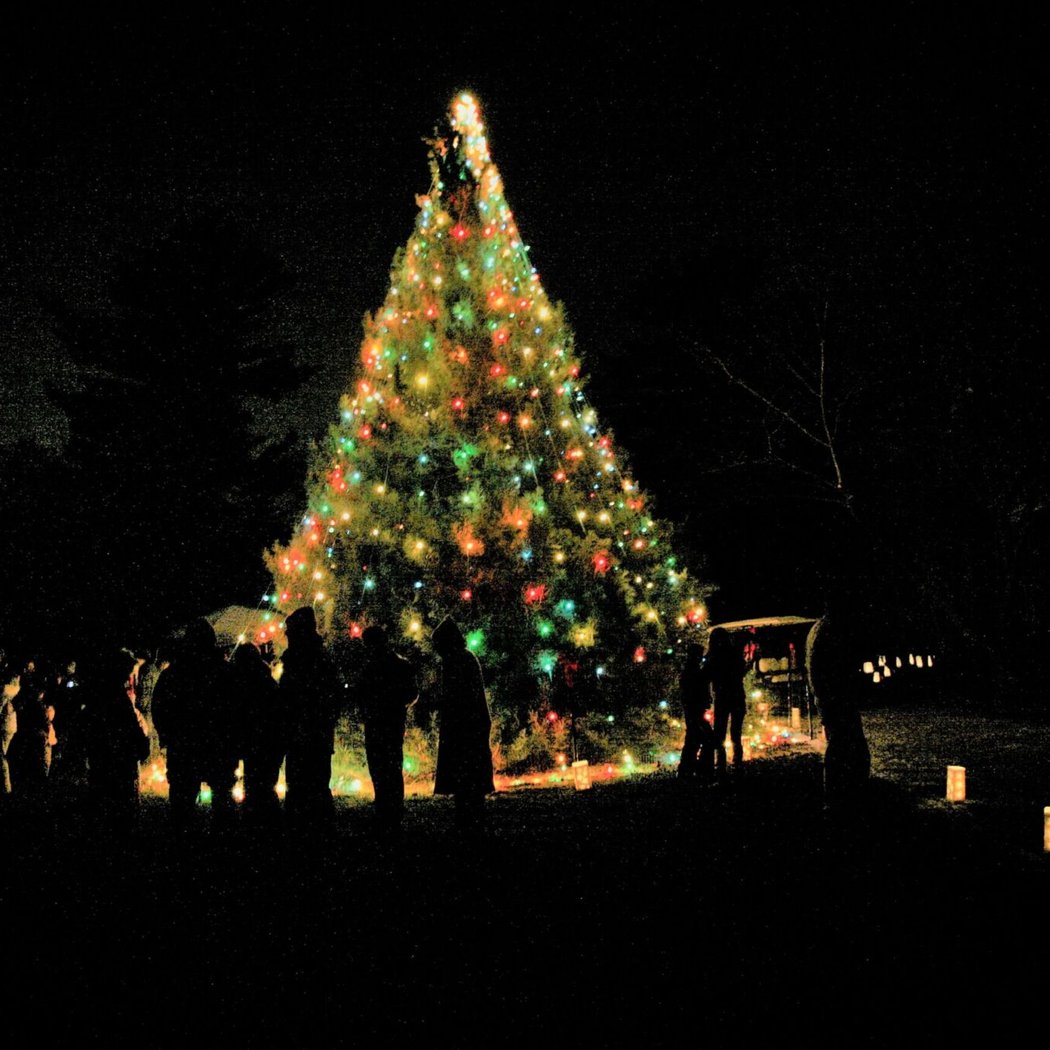 Annual Holiday Tree Lighting 1
