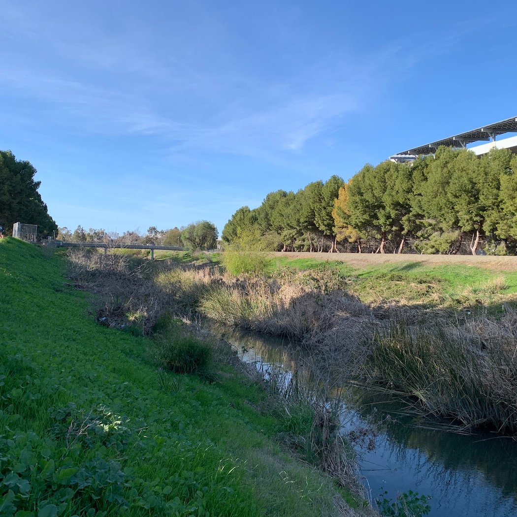 San Tomas Aquino Creek Trail 3