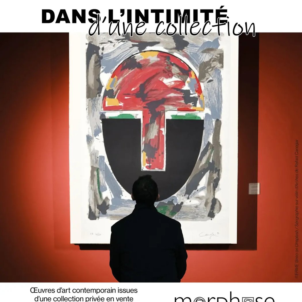 DANS L’INTIMITÉ d'une collection 1