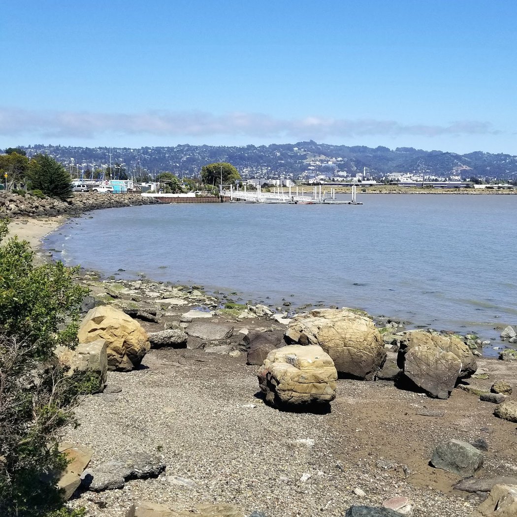 Shorebird Beach 3