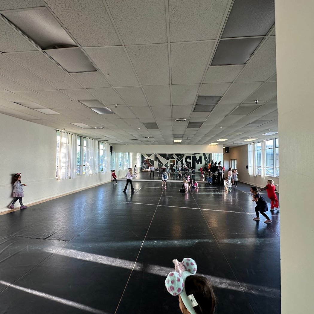 Melodic Remedy Dance Studio 2