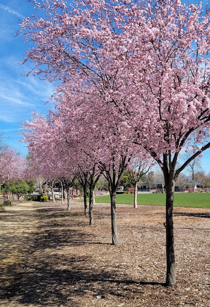 El Quito Park 1