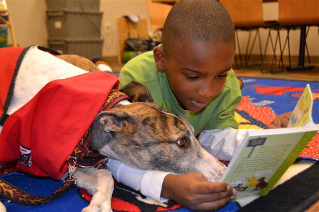 Read to AJ 2