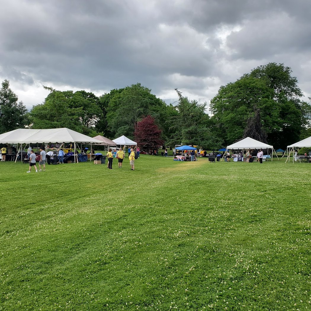 Albany Tulip Festival 2