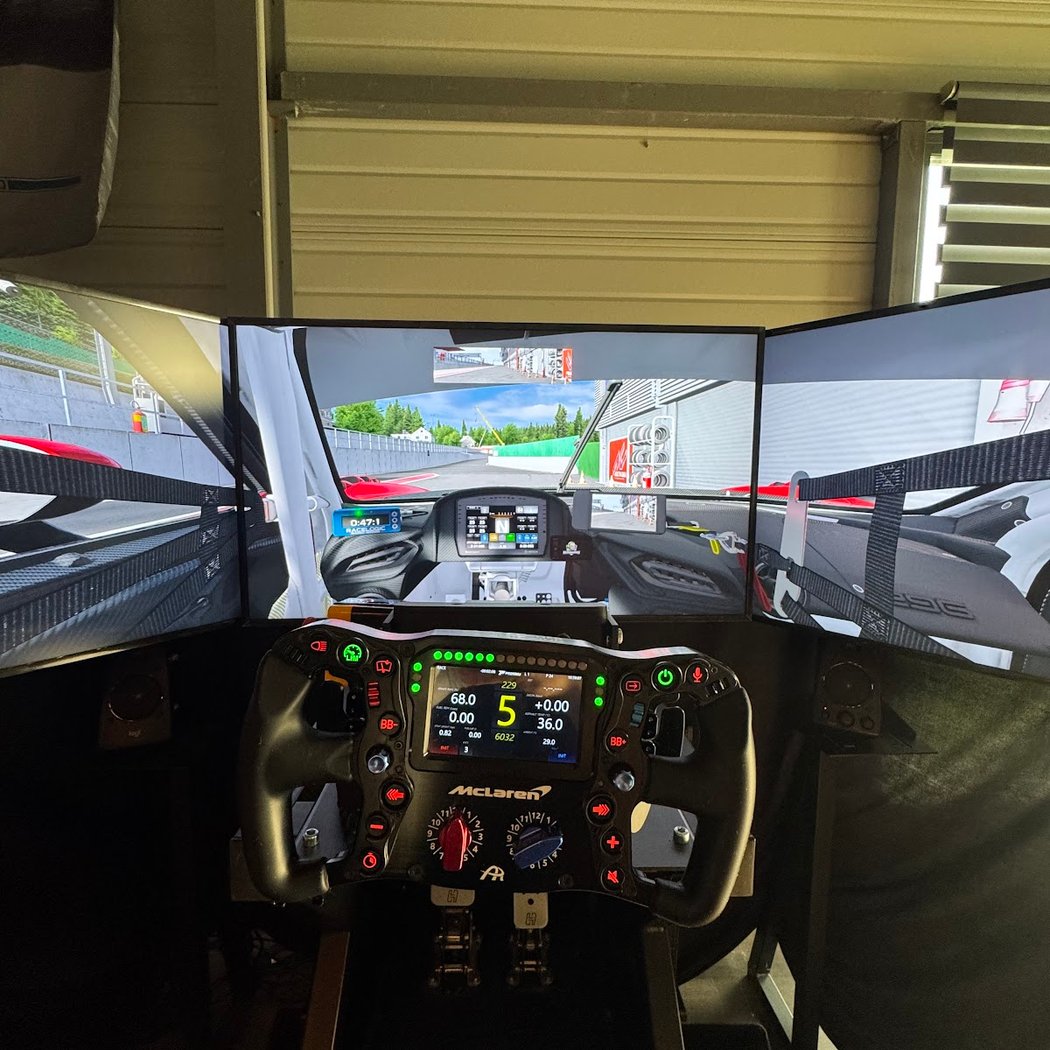 ProSim Racer 1