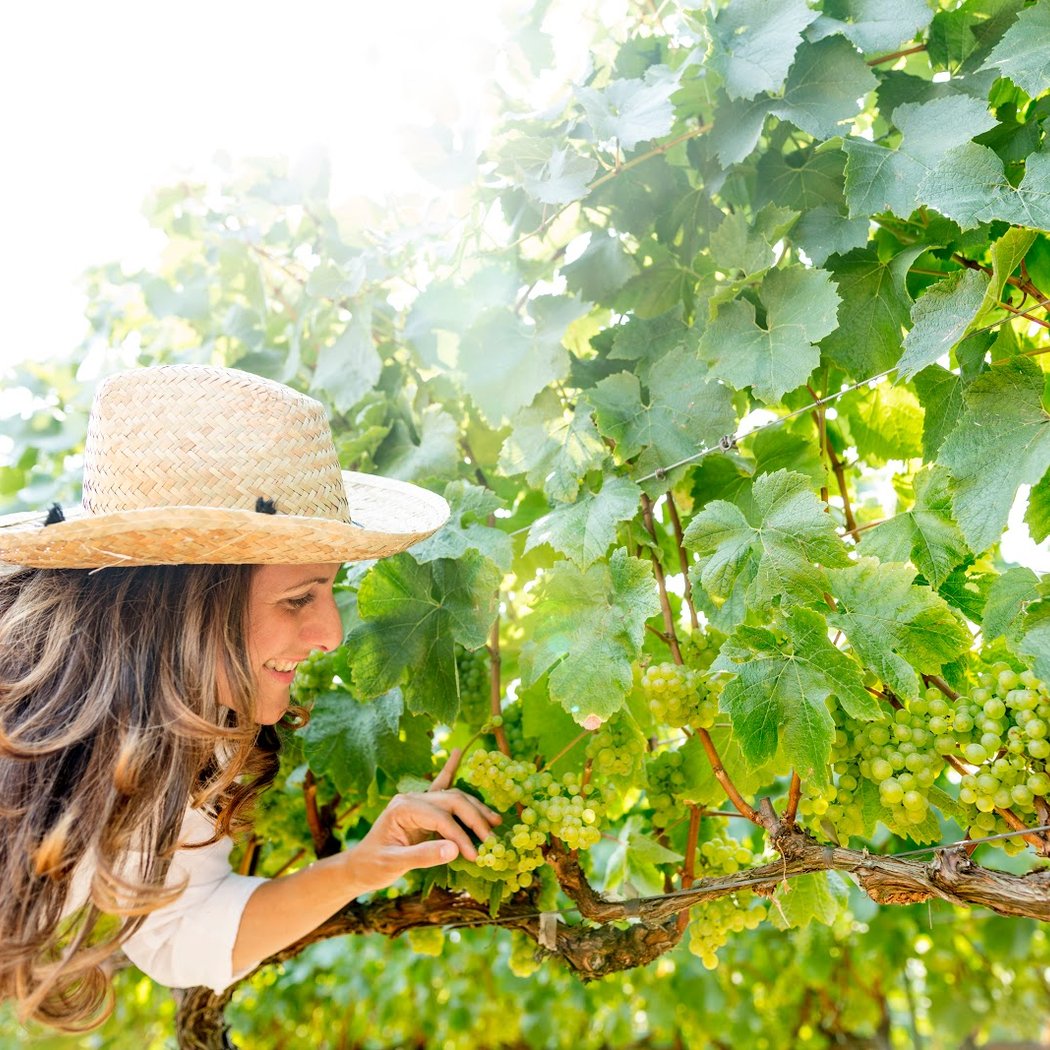 Cattleya Wines 3