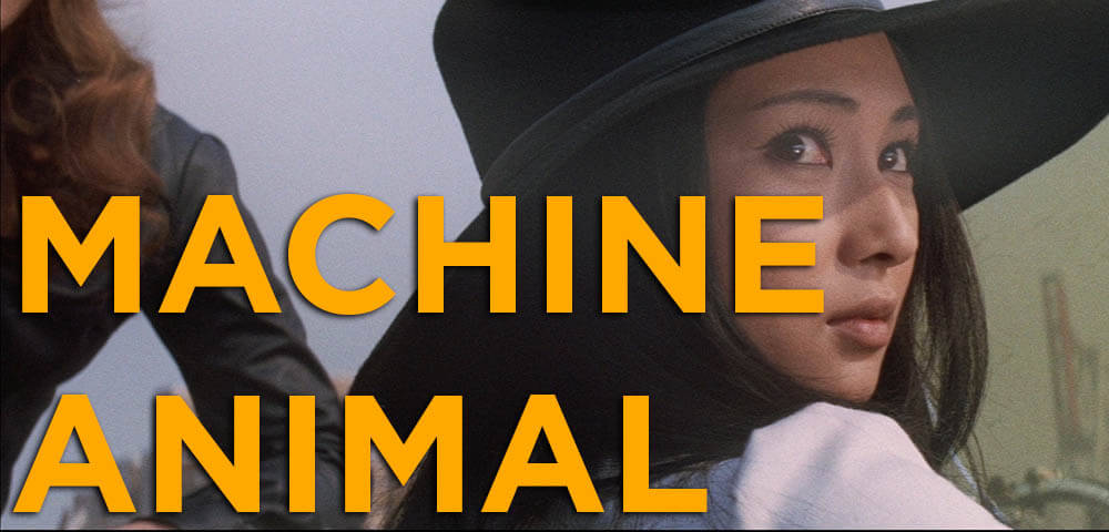 STRAY CAT ROCK: MACHINE ANIMAL 1