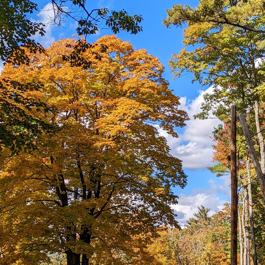 Ashokan Reservoir Promenade West Parking Lot 3