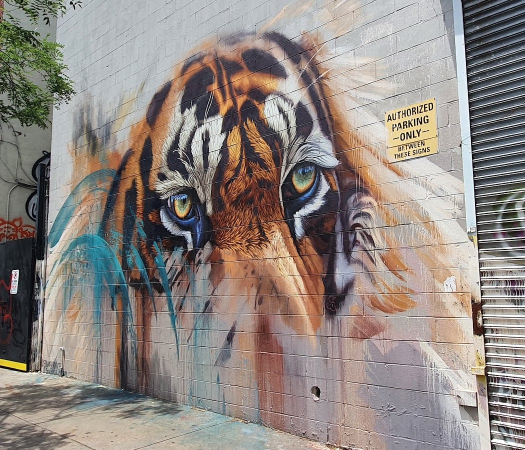 Bushwick Wall with Graffiti 3