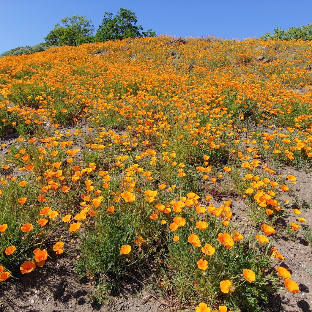Fossil Hill Trail Hike 1