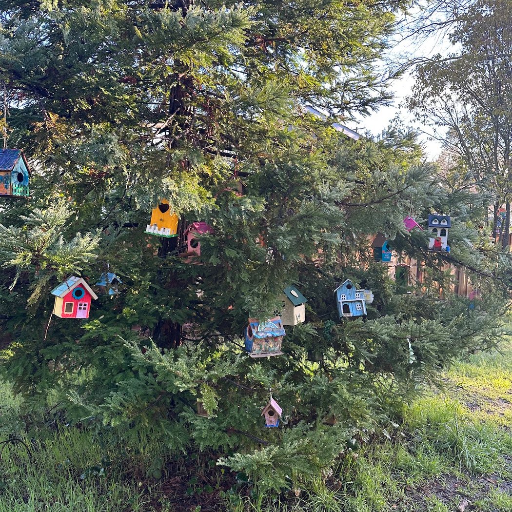 Bird houses 3