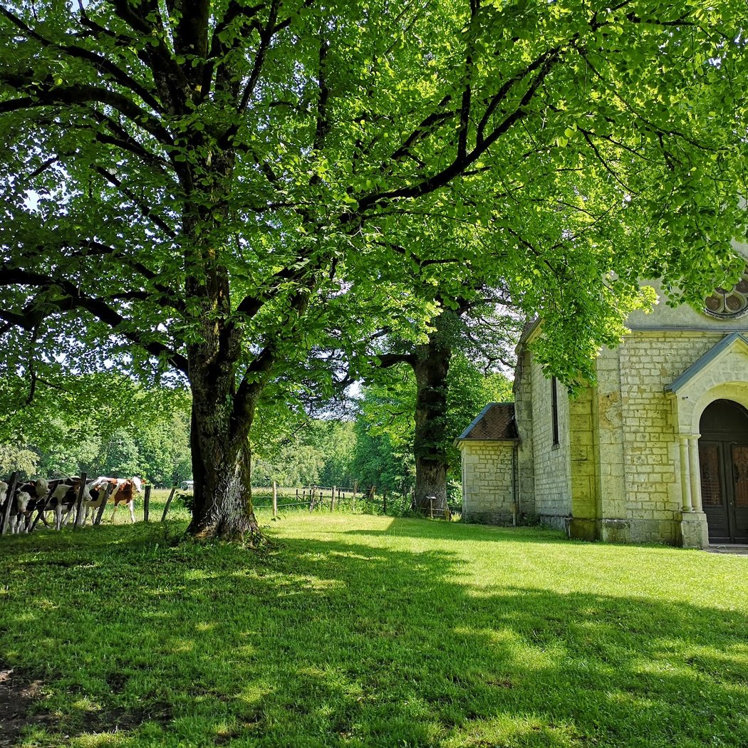 Association Européenne des chemins de la Via Francigena - bureau France 3