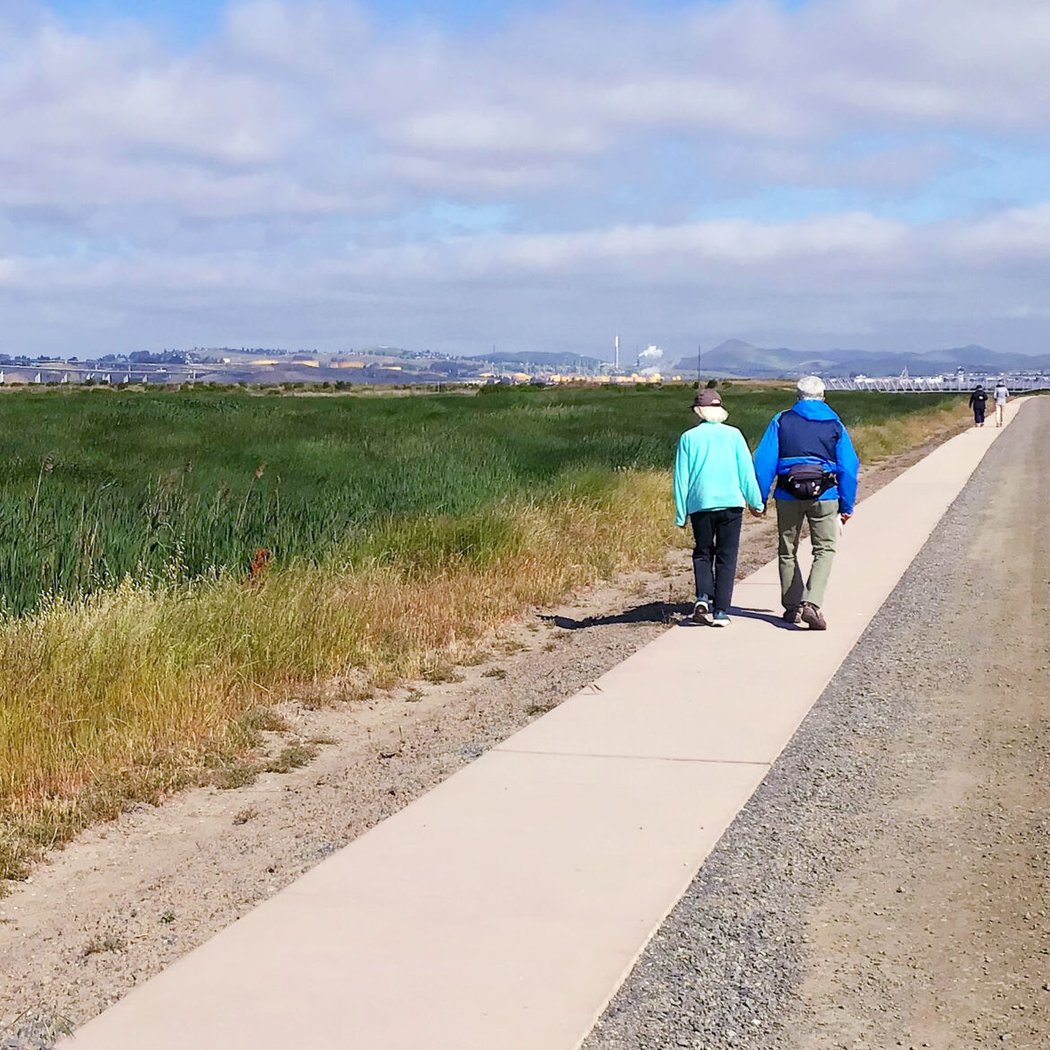 Pacheco Marsh 2