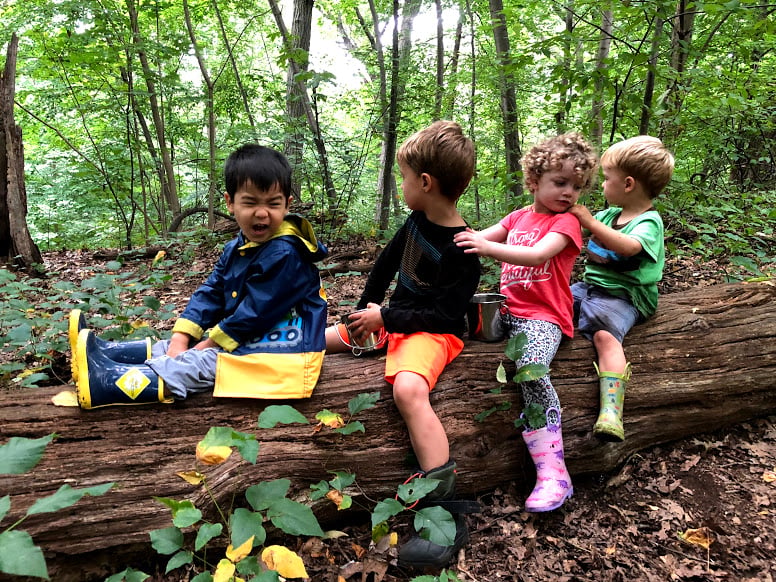 Kew Kids Forest School 2