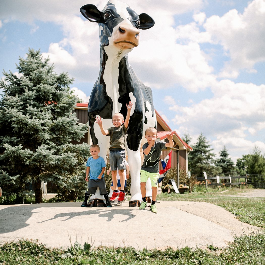 Great Country Farms 1